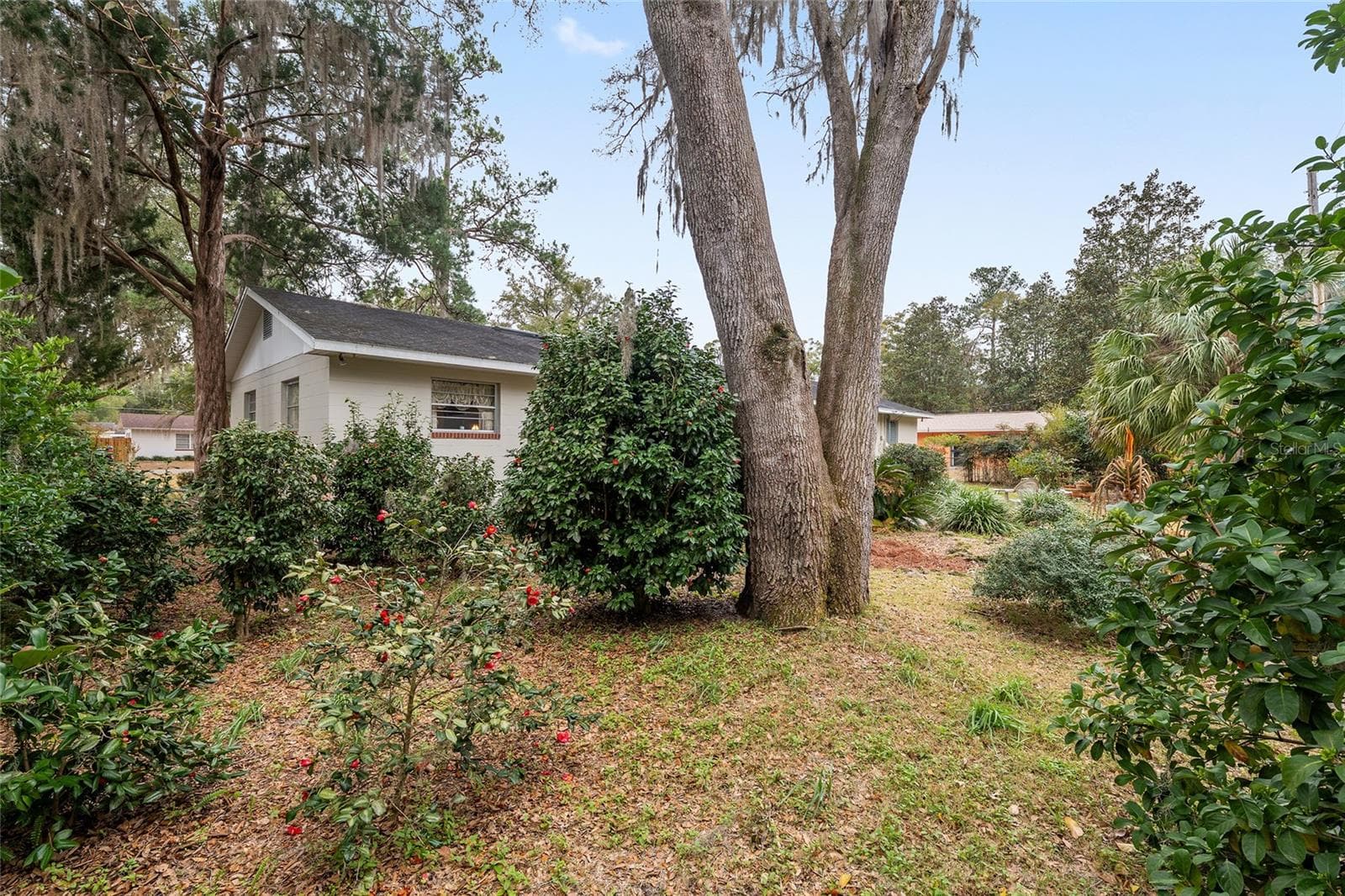 Lots of natural landscaping - 3710 NW 22ND PL, GAINESVILLE