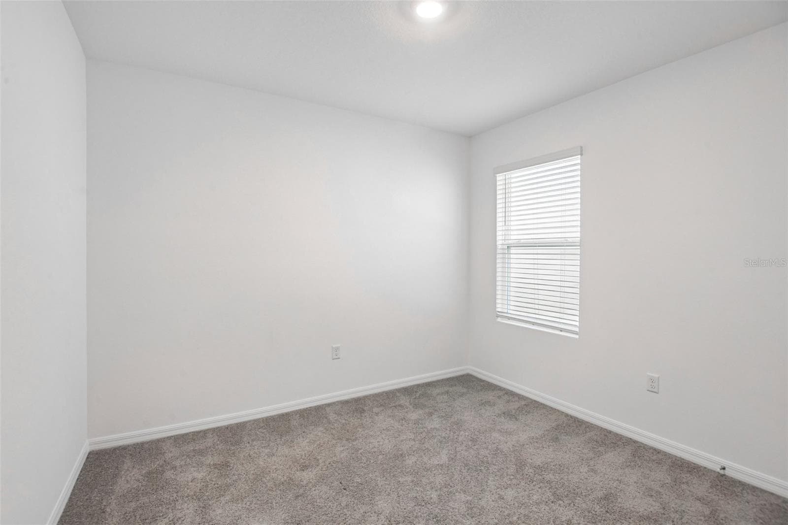 Bedroom 2 - 33319 DARLEY DALE TRL, WESLEY CHAPEL
