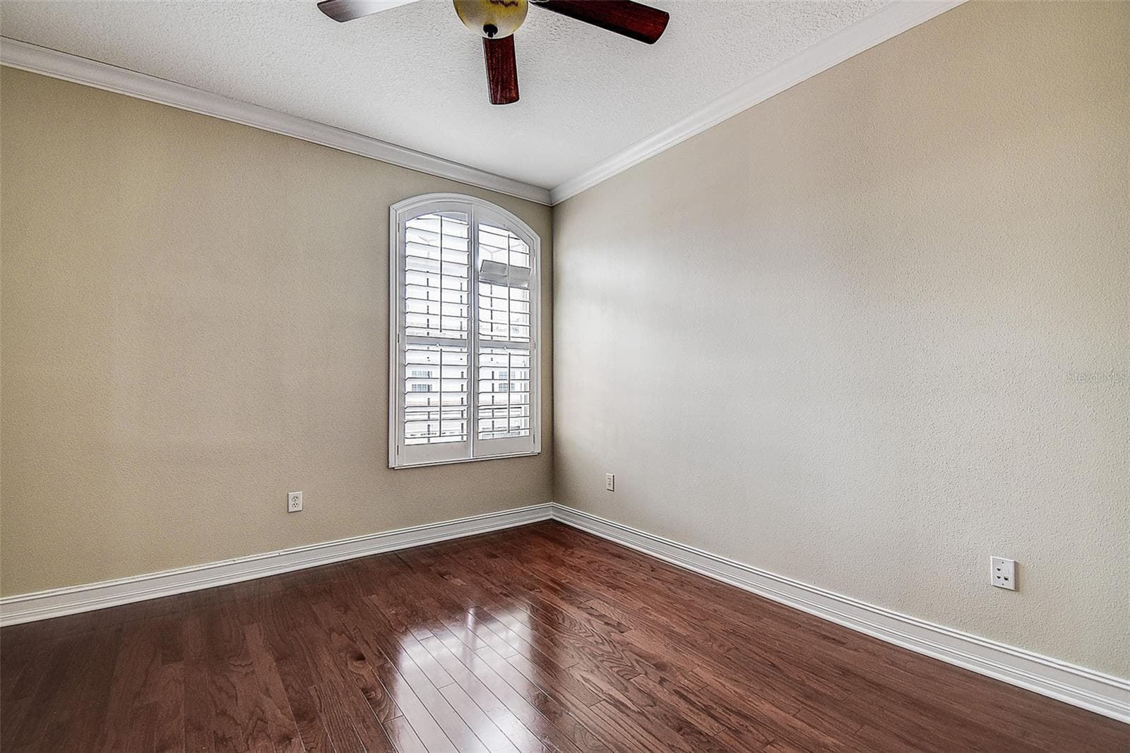 2nd Bedroom - 1266 RIBOLLA DR, PALM HARBOR