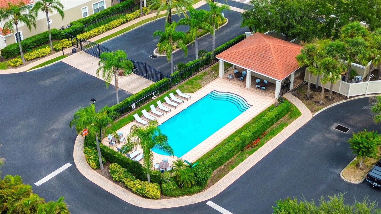Swimming Pool - 1266 RIBOLLA DR, PALM HARBOR