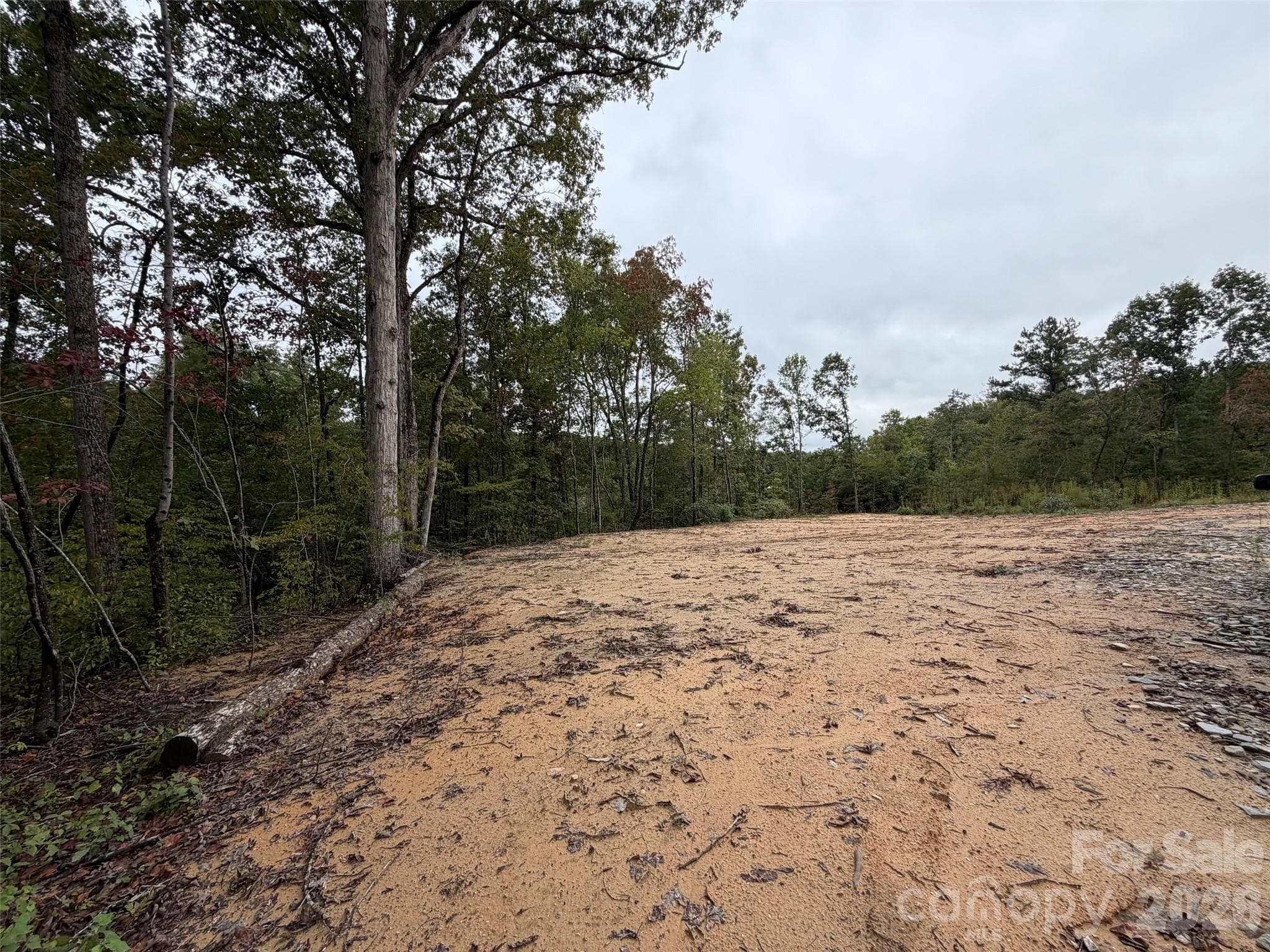 Acreage at V/L W V THOMPSON Road, Rutherfordton, photo 6 of 22