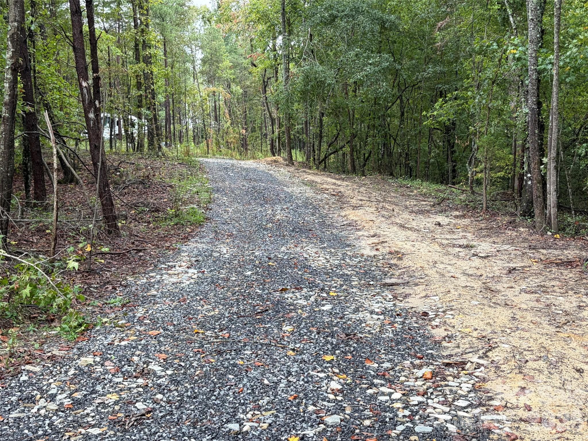 Acreage at V/L W V THOMPSON Road, Rutherfordton, photo 14 of 22