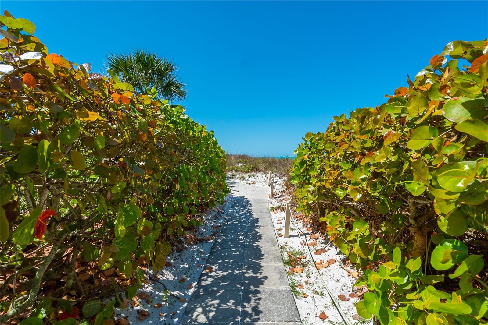 Condominium at 6285 MIDNIGHT PASS RD #406, SARASOTA, photo 60 of 78