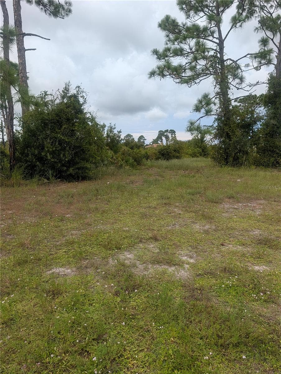 Land at 18 EBB CIR, PLACIDA, photo 5 of 9