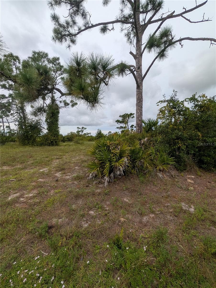Land at 18 EBB CIR, PLACIDA, photo 7 of 9