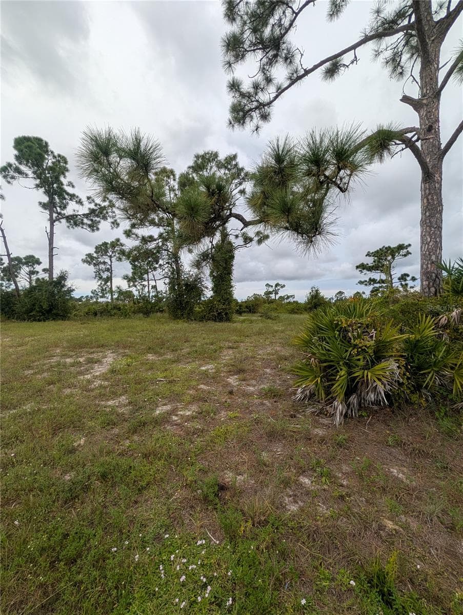 Land at 18 EBB CIR, PLACIDA, photo 9 of 9