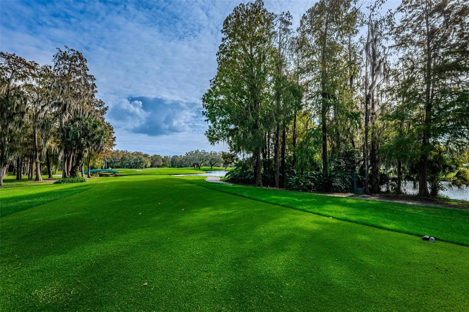 Single Family Residence at 1366 VIA VERDI DR, PALM HARBOR, photo 52 of 76