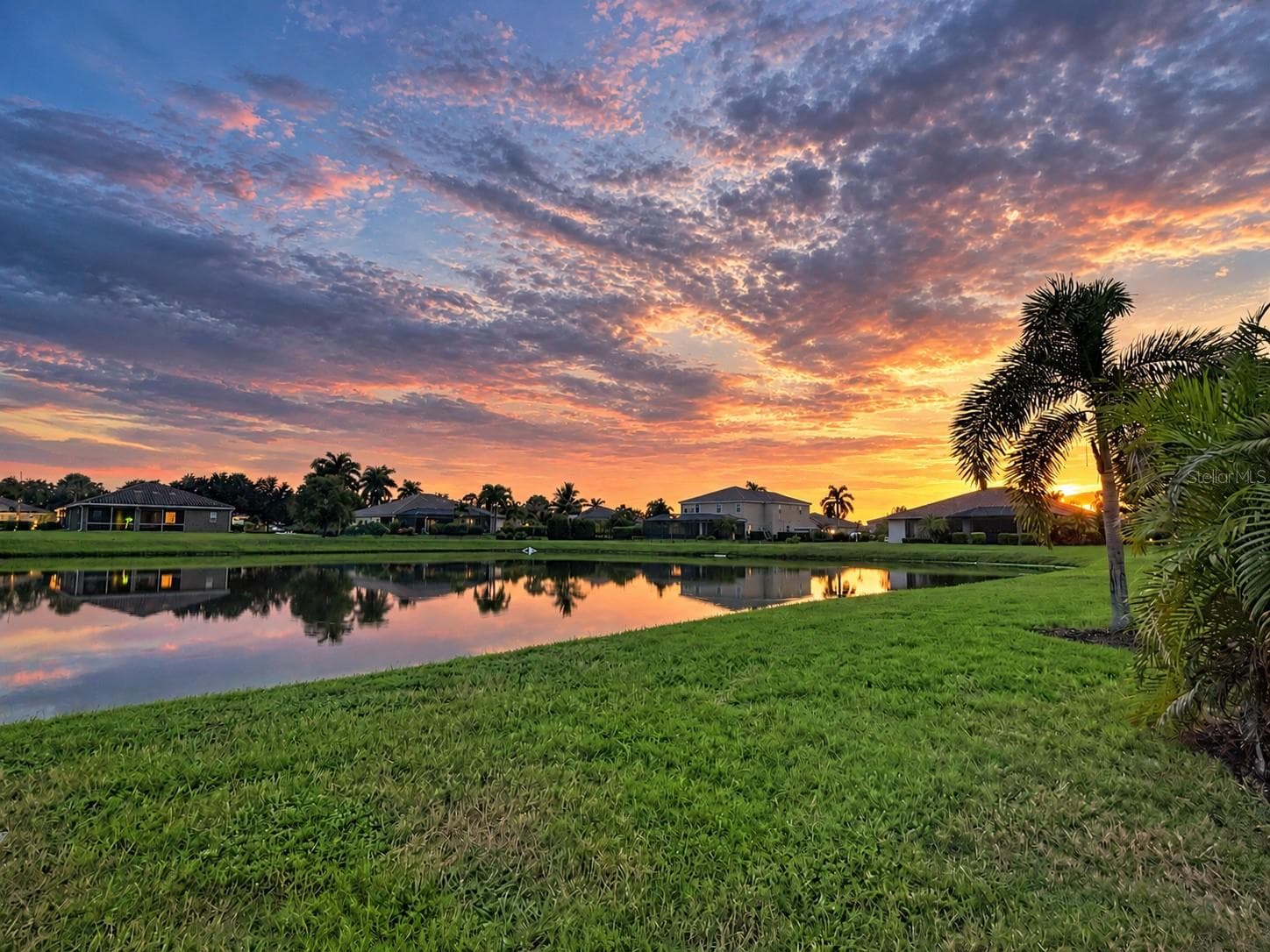 View from The Back Yard - 17014 E 2ND AVE, BRADENTON
