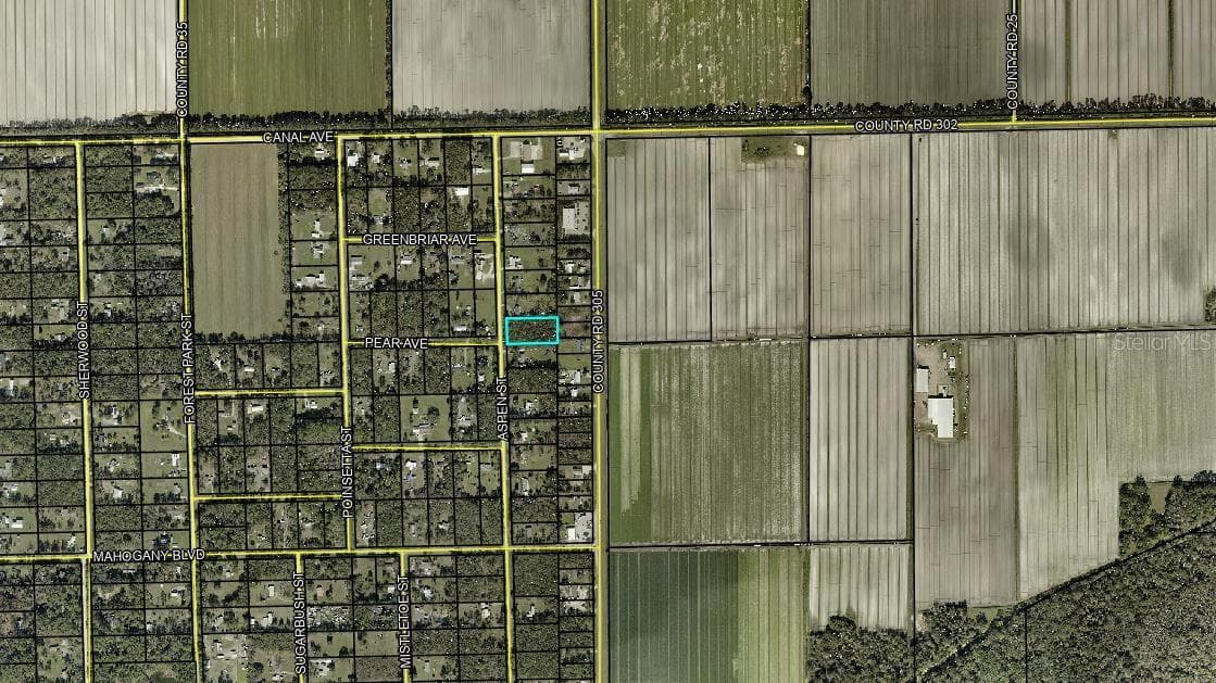 Land at 1233 ASPEN ST, BUNNELL, photo 15 of 15