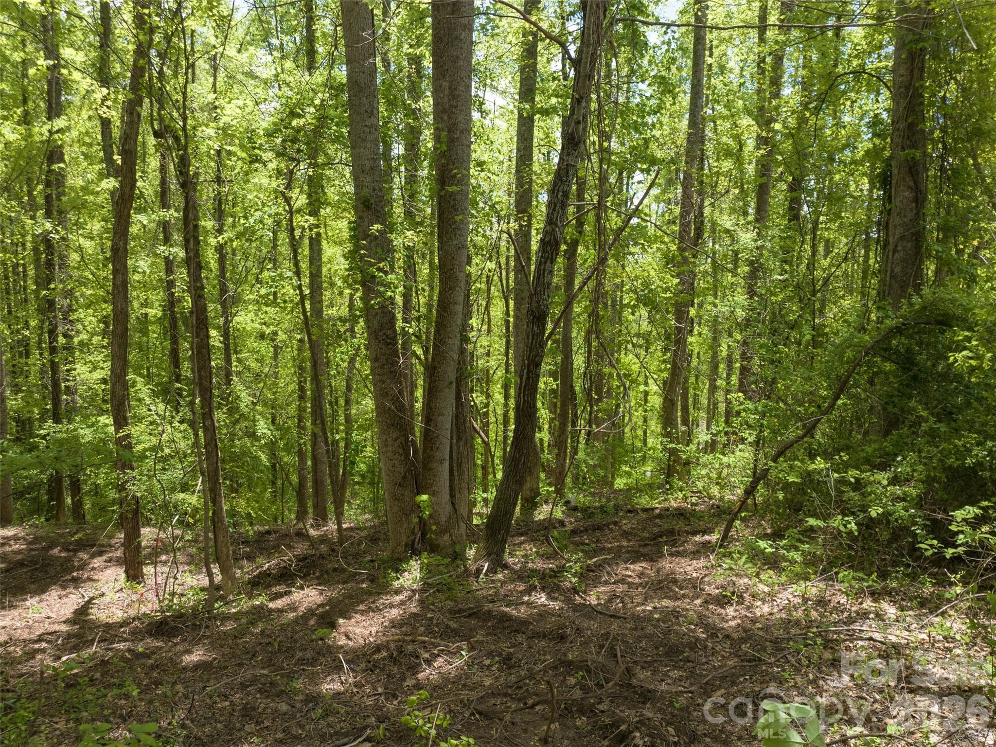 Lot at Asheville, photo 10 of 50