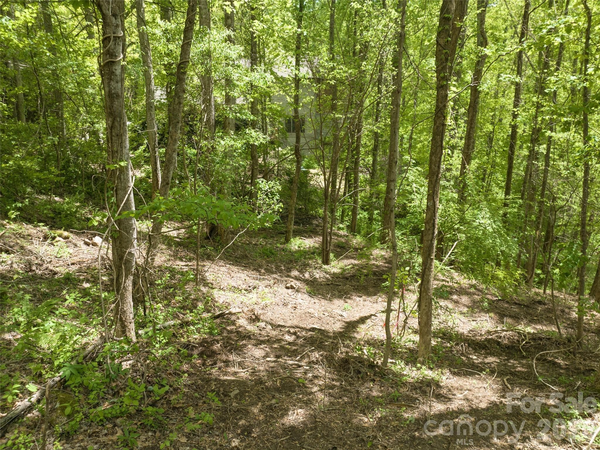 Lot at Asheville, photo 12 of 50