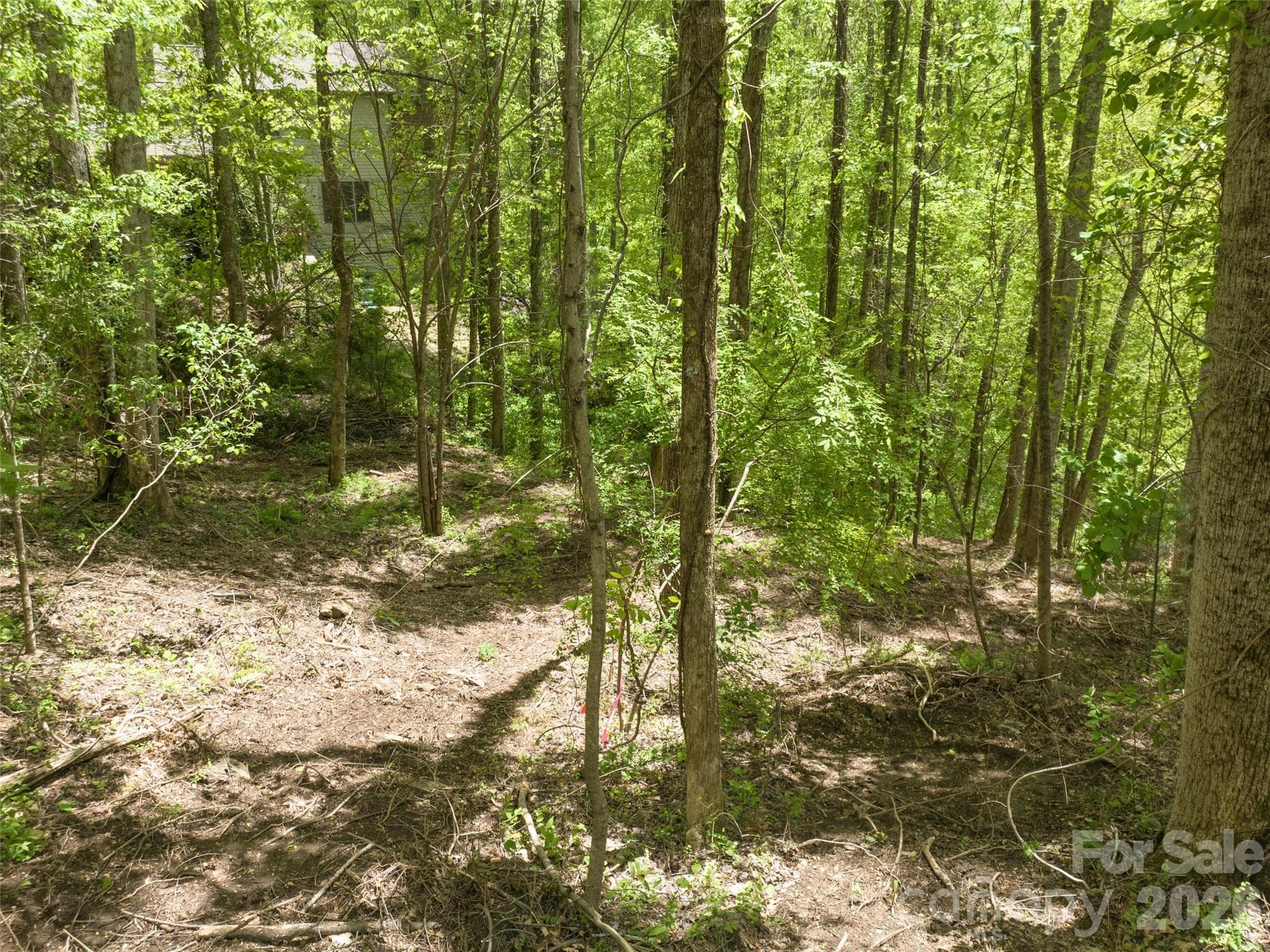 Lot at Asheville, photo 14 of 50