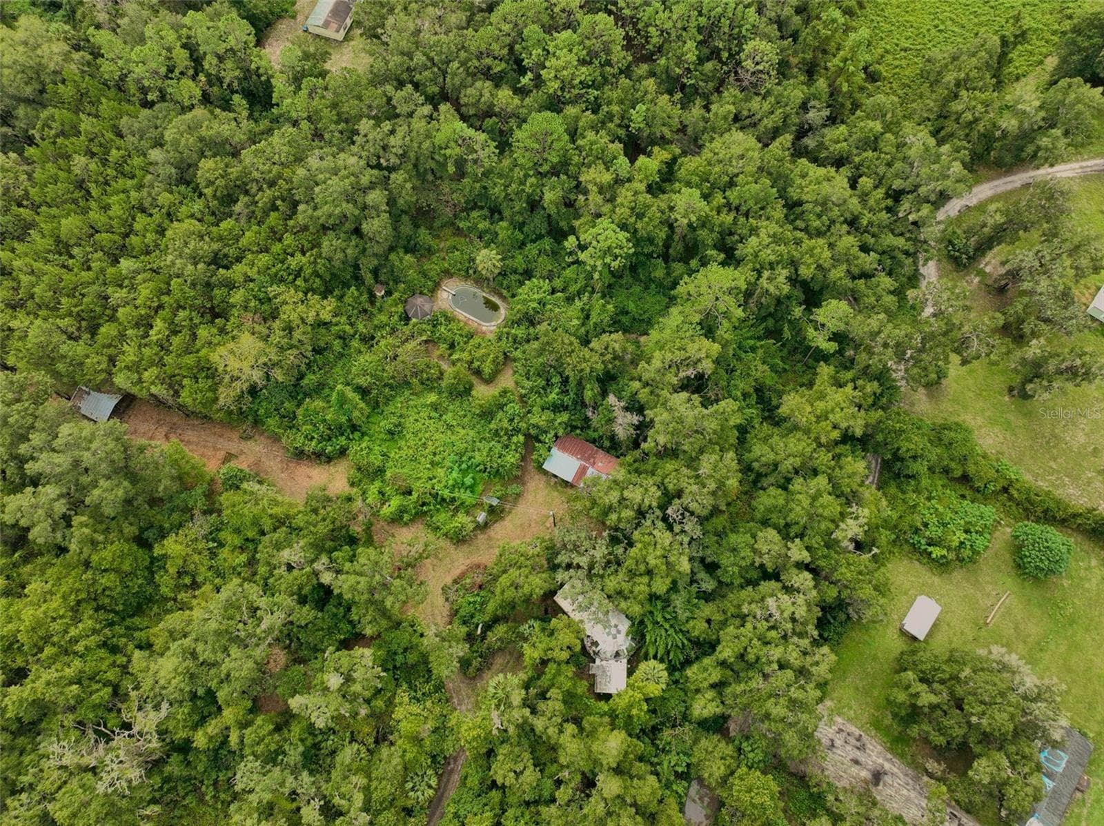 Farm at 2424 NE 170TH ST, CITRA, photo 65 of 67
