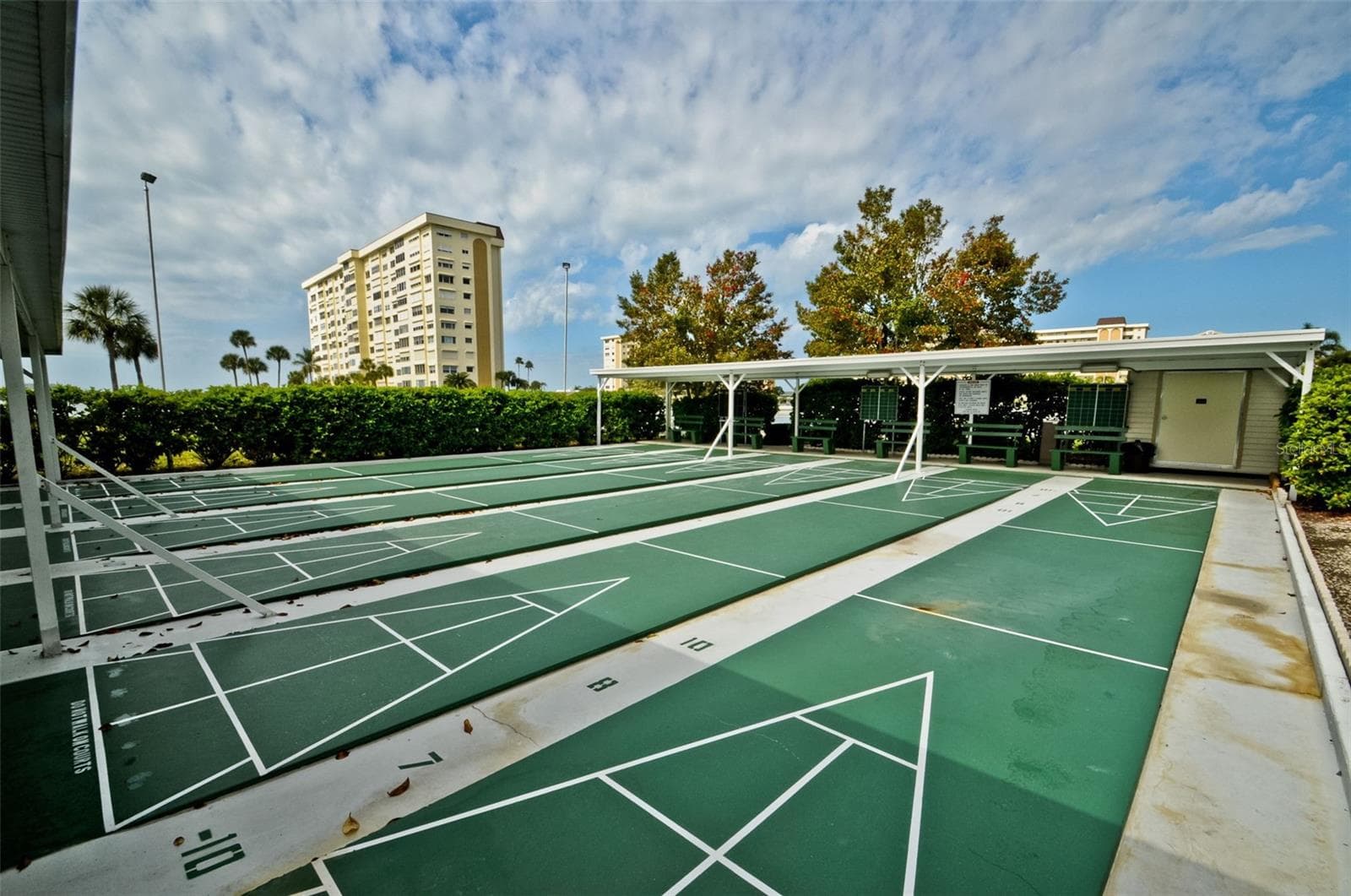 Shuffle board - 4575 COVE CIR #1003, ST PETERSBURG