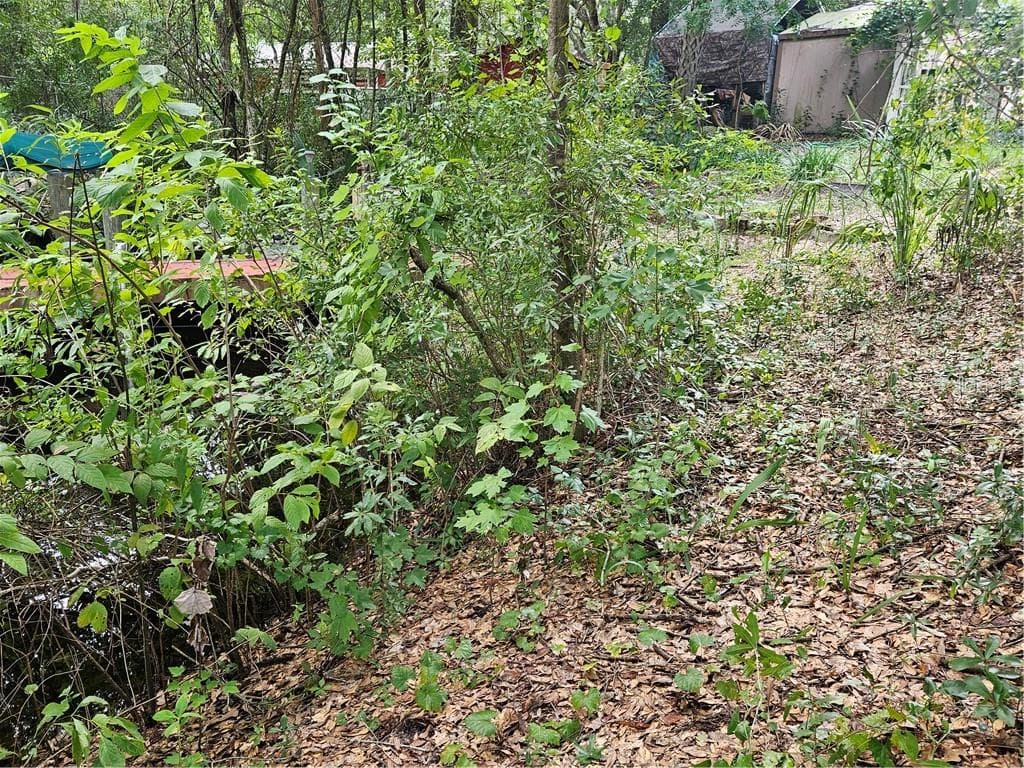 Land at 4059 E Gloria Drive, Hernando FL 34442, Hernando, photo 8 of 25