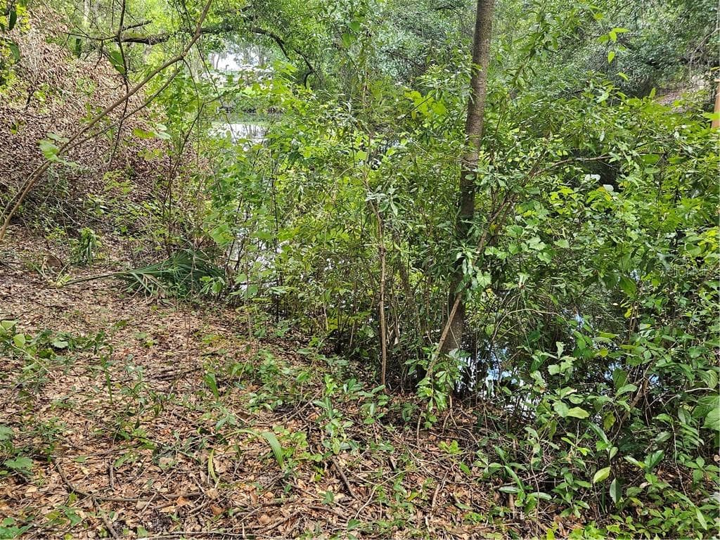 Land at 4059 E Gloria Drive, Hernando FL 34442, Hernando, photo 11 of 25
