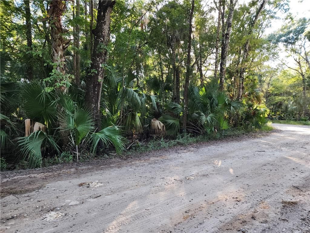Land at 13334 E Shawnee TRL, INVERNESS FL 34450, photo 5 of 16