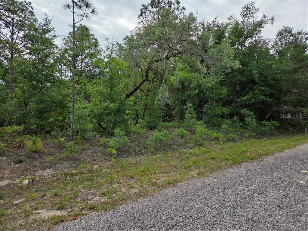 Land at 6493 N Matheson DR, DUNNELLON FL 34434, Dunnellon, photo 5 of 18