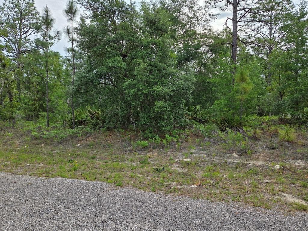 Land at 6493 N Matheson DR, DUNNELLON FL 34434, Dunnellon, photo 7 of 18
