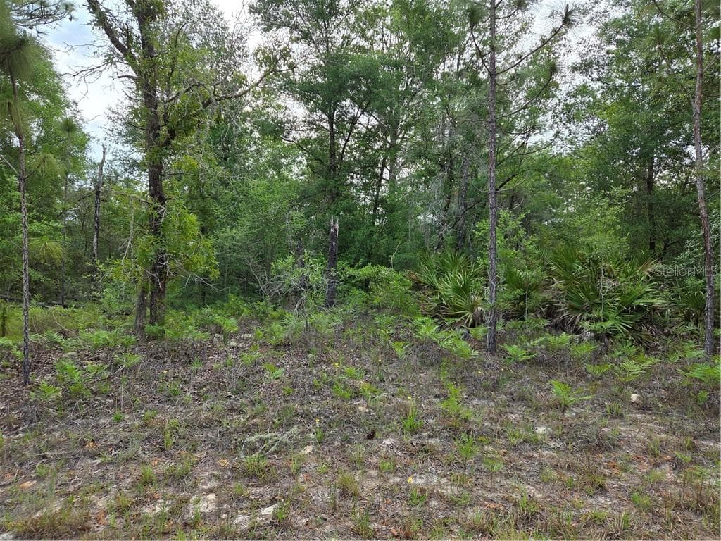 Land at 6493 N Matheson DR, DUNNELLON FL 34434, Dunnellon, photo 8 of 18