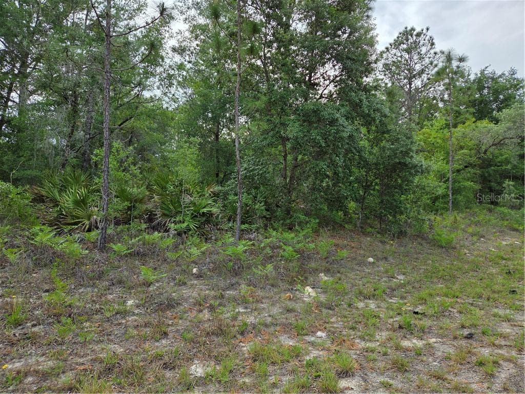 Land at 6493 N Matheson DR, DUNNELLON FL 34434, Dunnellon, photo 9 of 18