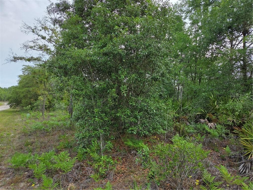 Land at 6493 N Matheson DR, DUNNELLON FL 34434, Dunnellon, photo 12 of 18