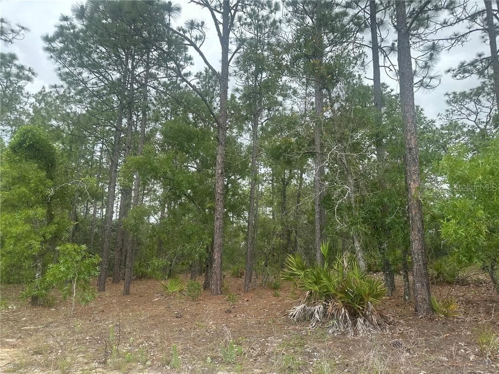 Land at 4809 W Gypsum DR, BEVERLYHILLS FL 34465, Beverly Hills, photo 2 of 12