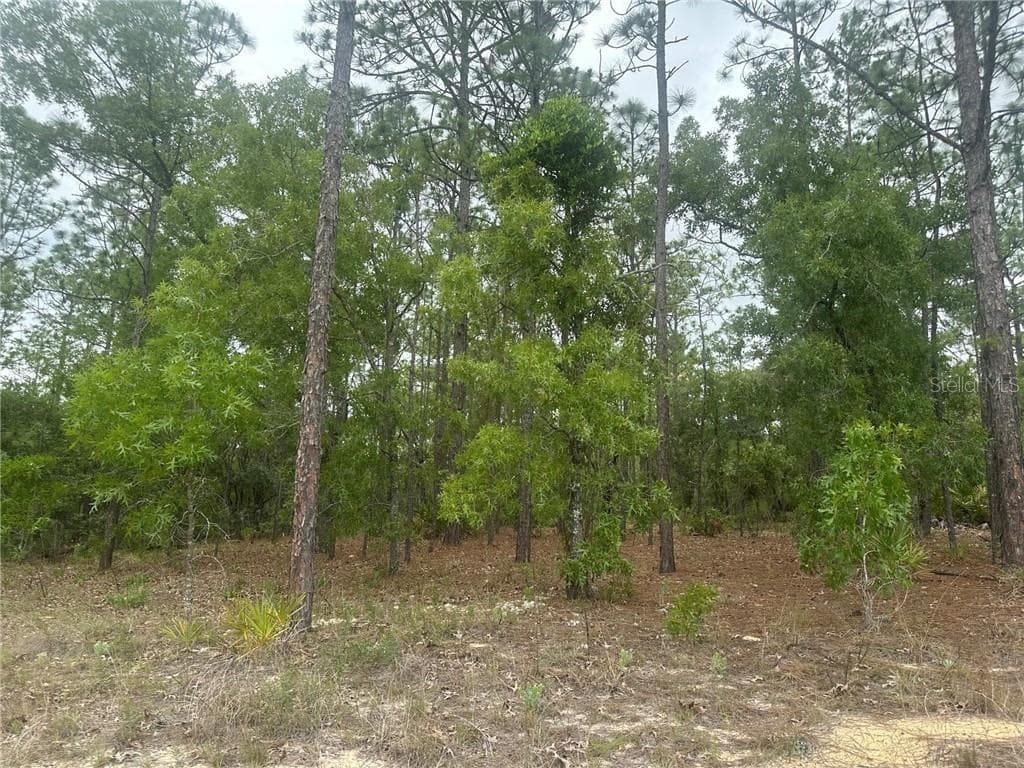 Land at 4809 W Gypsum DR, BEVERLYHILLS FL 34465, Beverly Hills, photo 3 of 12