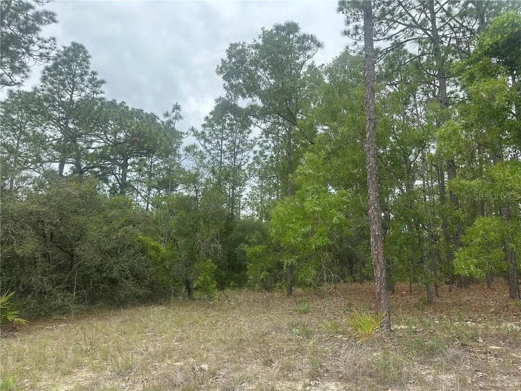 Land at 4809 W Gypsum DR, BEVERLYHILLS FL 34465, Beverly Hills, photo 4 of 12