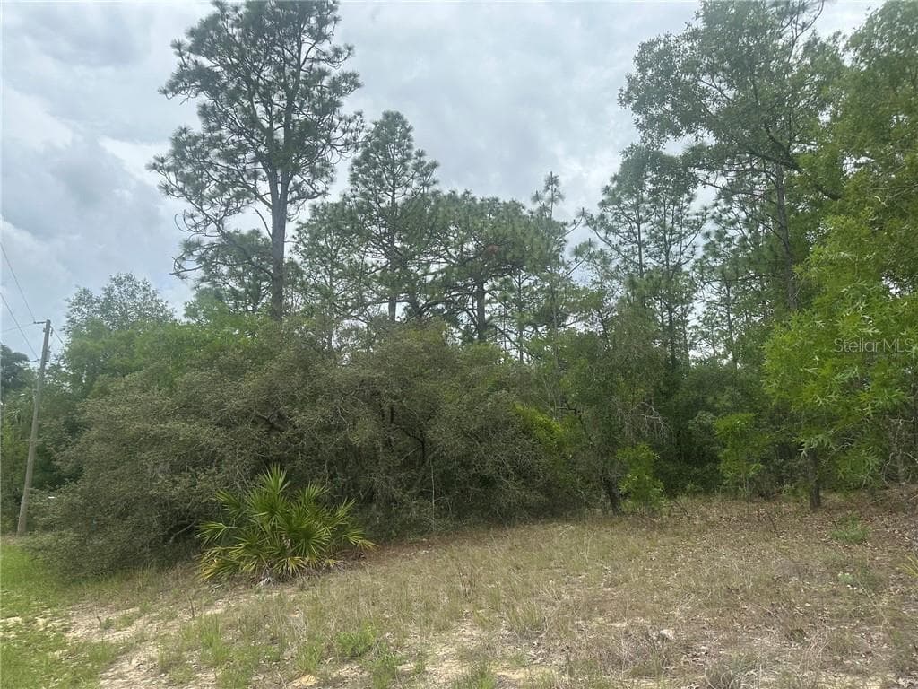 Land at 4809 W Gypsum DR, BEVERLYHILLS FL 34465, Beverly Hills, photo 5 of 12