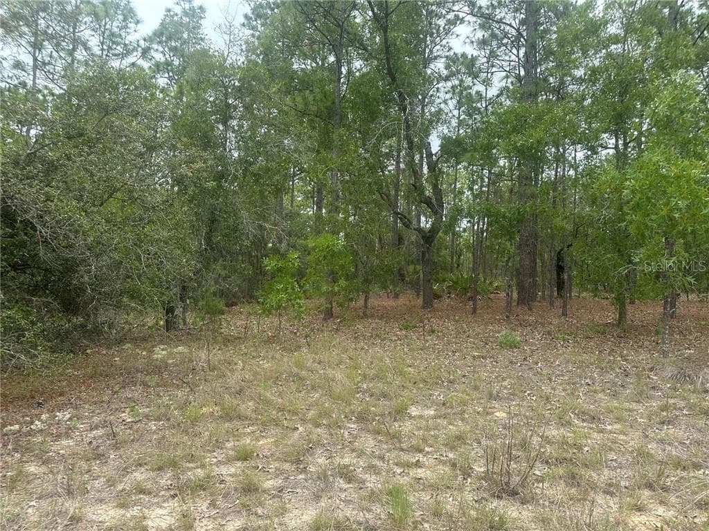 Land at 4809 W Gypsum DR, BEVERLYHILLS FL 34465, Beverly Hills, photo 6 of 12