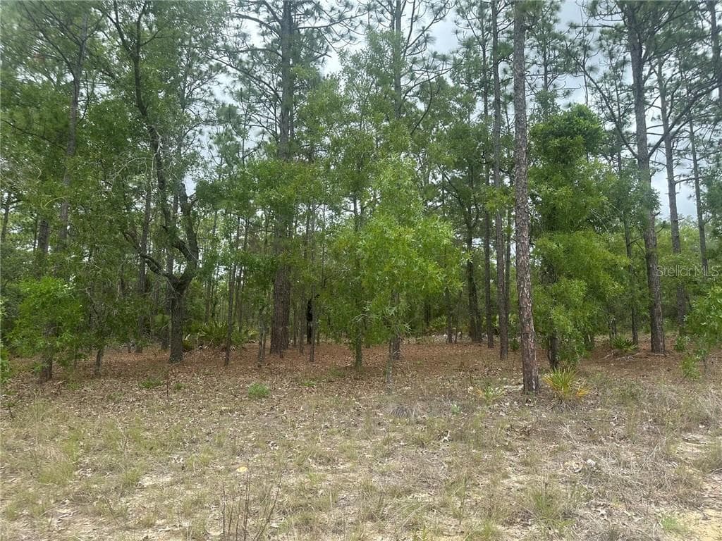Land at 4809 W Gypsum DR, BEVERLYHILLS FL 34465, Beverly Hills, photo 7 of 12