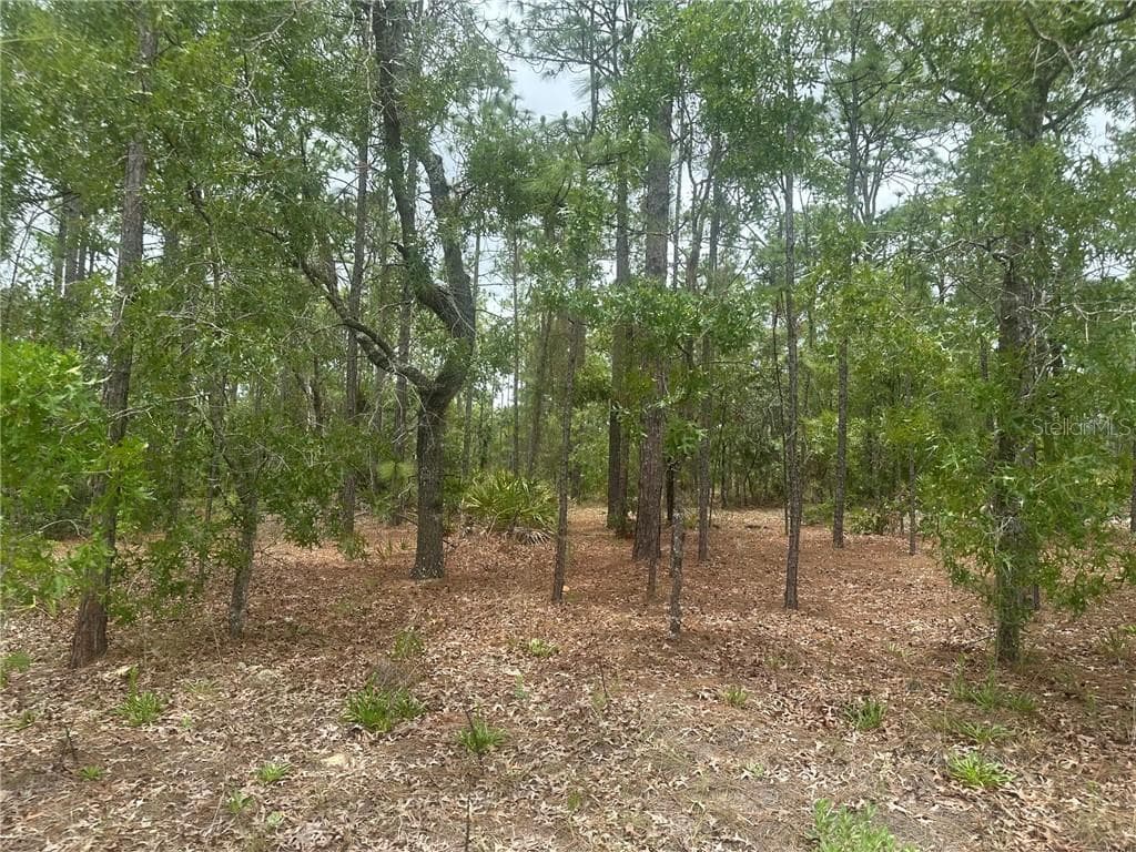 Land at 4809 W Gypsum DR, BEVERLYHILLS FL 34465, Beverly Hills, photo 8 of 12