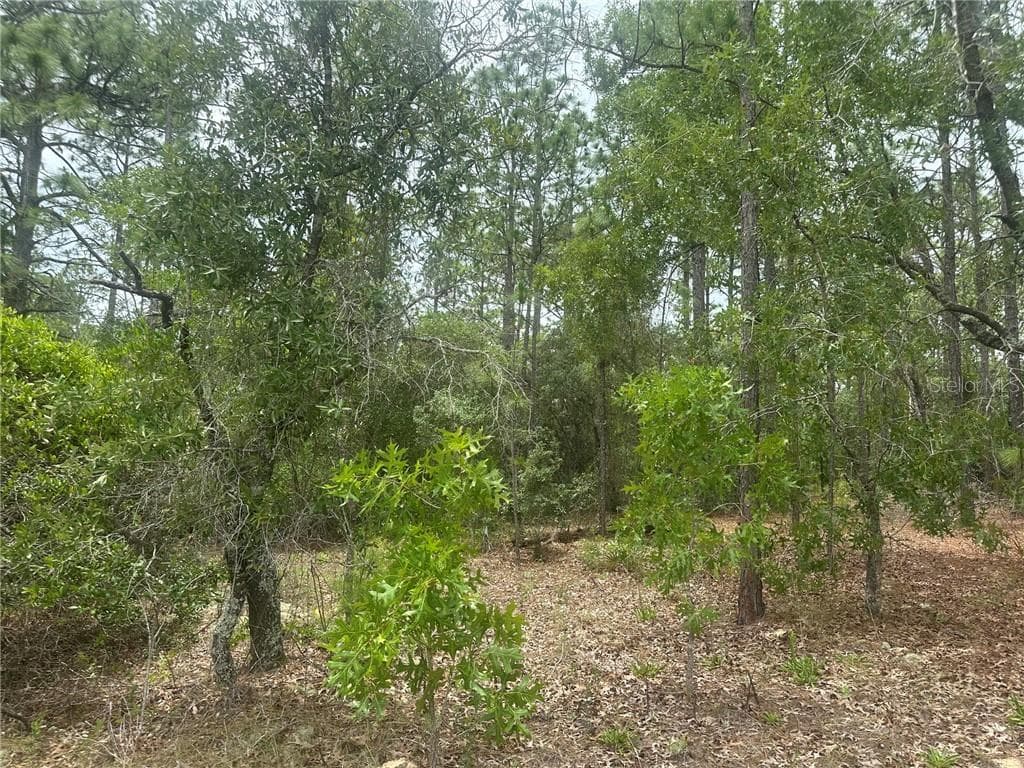 Land at 4809 W Gypsum DR, BEVERLYHILLS FL 34465, Beverly Hills, photo 9 of 12