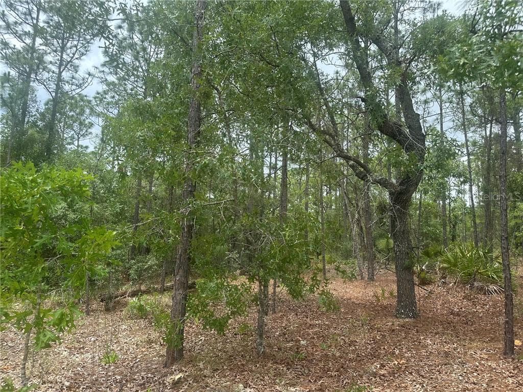 Land at 4809 W Gypsum DR, BEVERLYHILLS FL 34465, Beverly Hills, photo 10 of 12