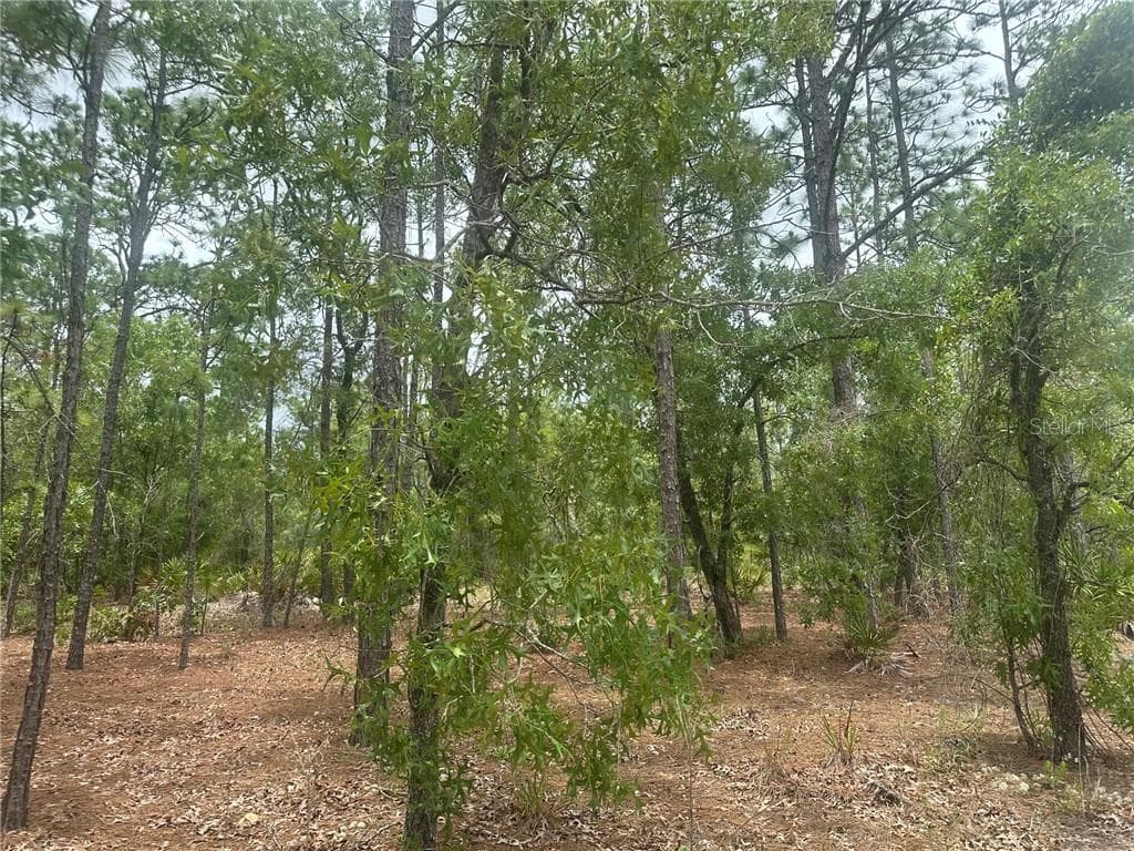 Land at 4809 W Gypsum DR, BEVERLYHILLS FL 34465, Beverly Hills, photo 11 of 12
