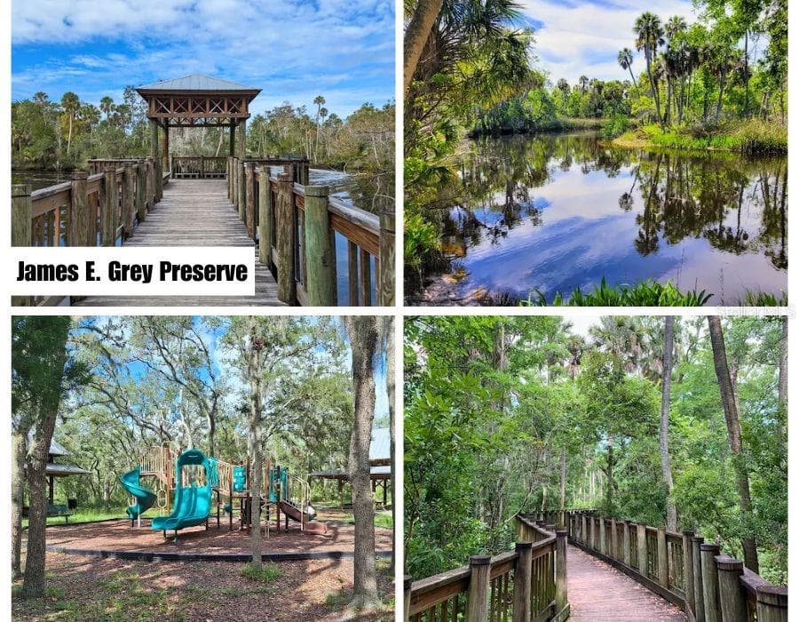 Land at 0 HELENA ST, NEWPORTRICHEY FL 34654, New Port Richey, photo 5 of 17