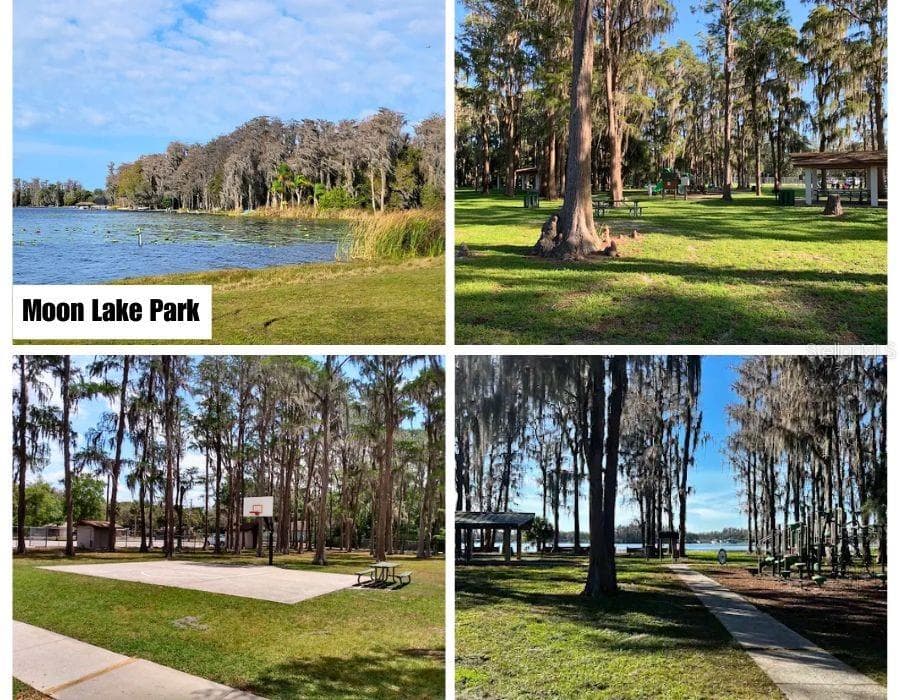 Land at 0 HELENA ST, NEWPORTRICHEY FL 34654, New Port Richey, photo 6 of 17