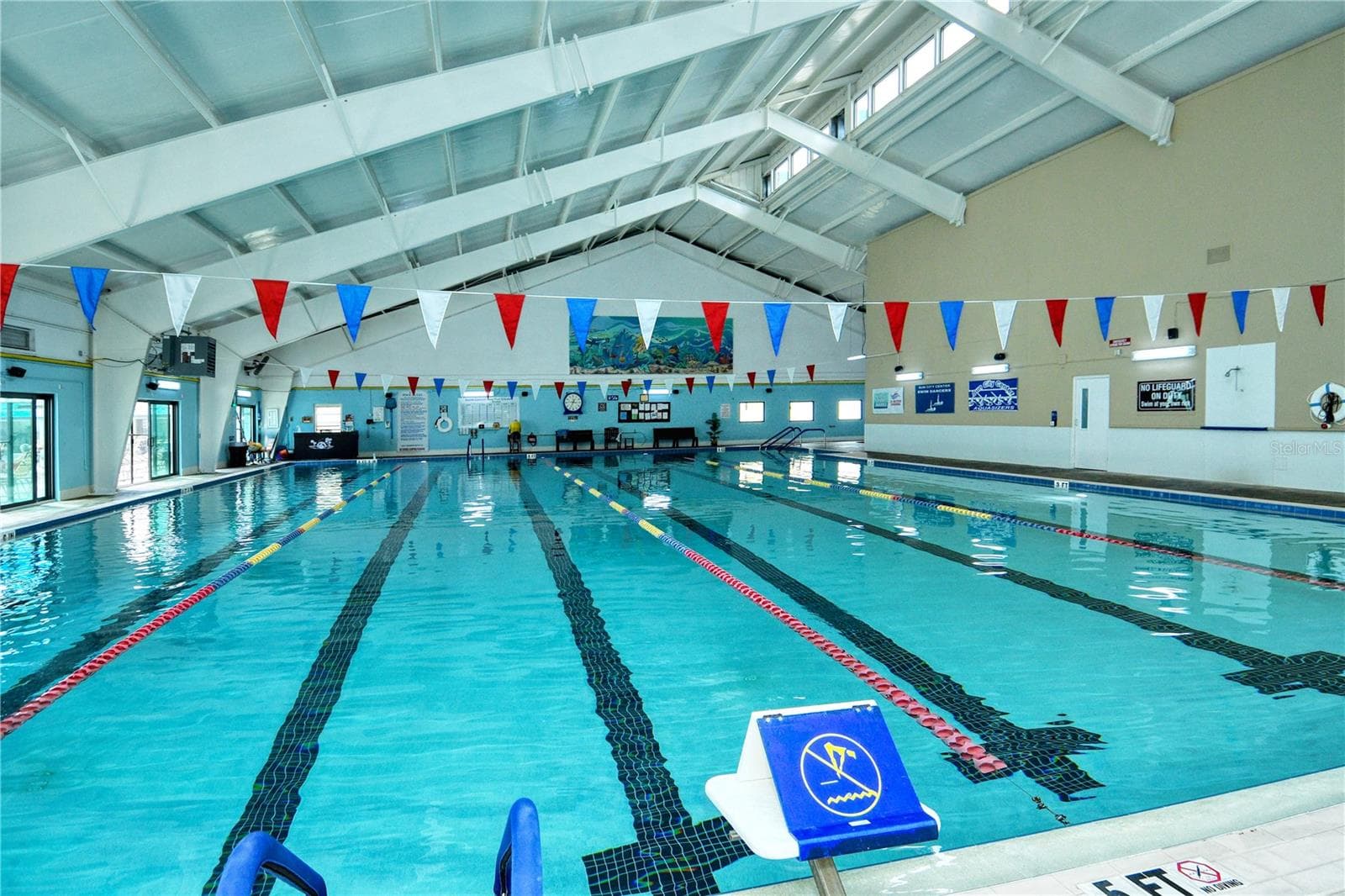 Lap Pool - 1604 ALEXANDER CROSSING WAY, SUN CITY CENTER