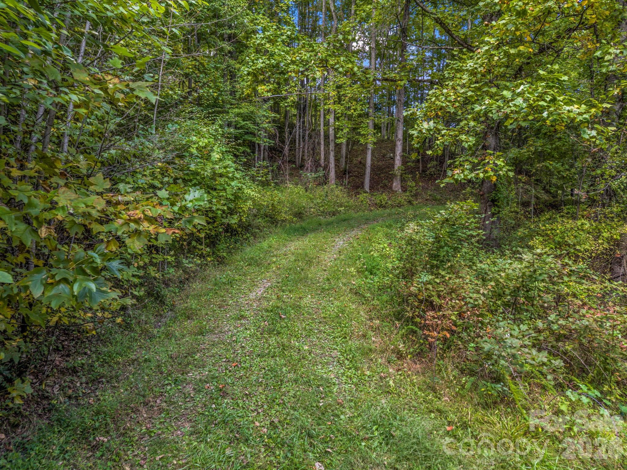 Trails throughout proeperty - 765 Hawk Ridge Lane, Marshall