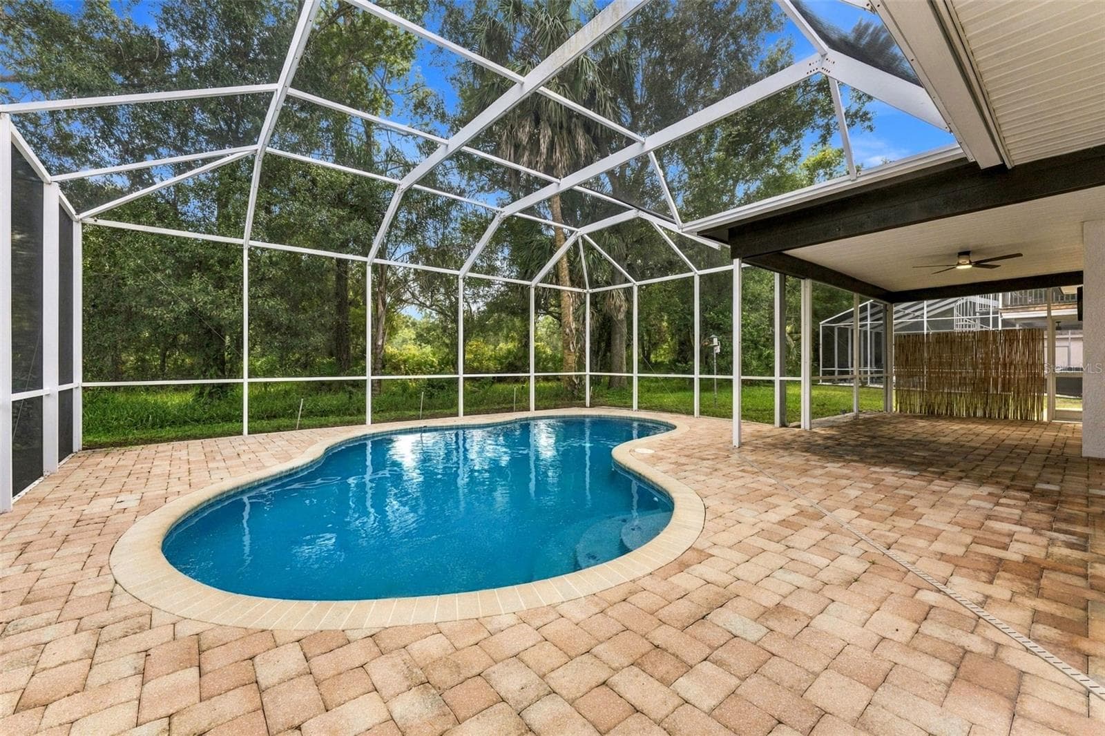 Privacy behind your home is a large preserve - 10102 VISTA POINTE DR, TAMPA