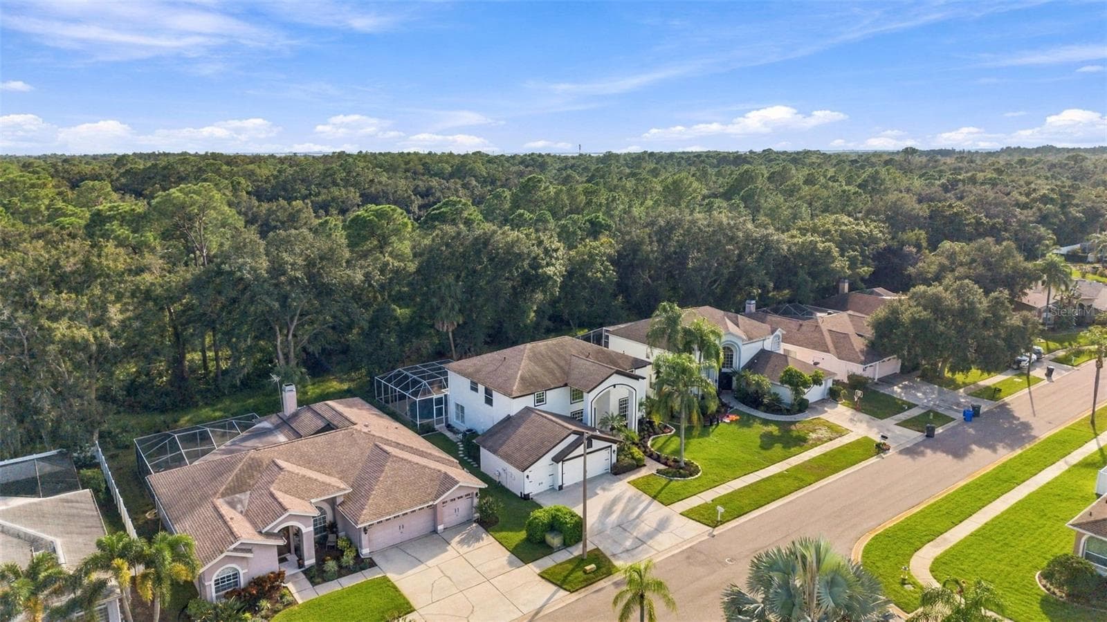 Lots of updates and upgrades invested into this home - 10102 VISTA POINTE DR, TAMPA