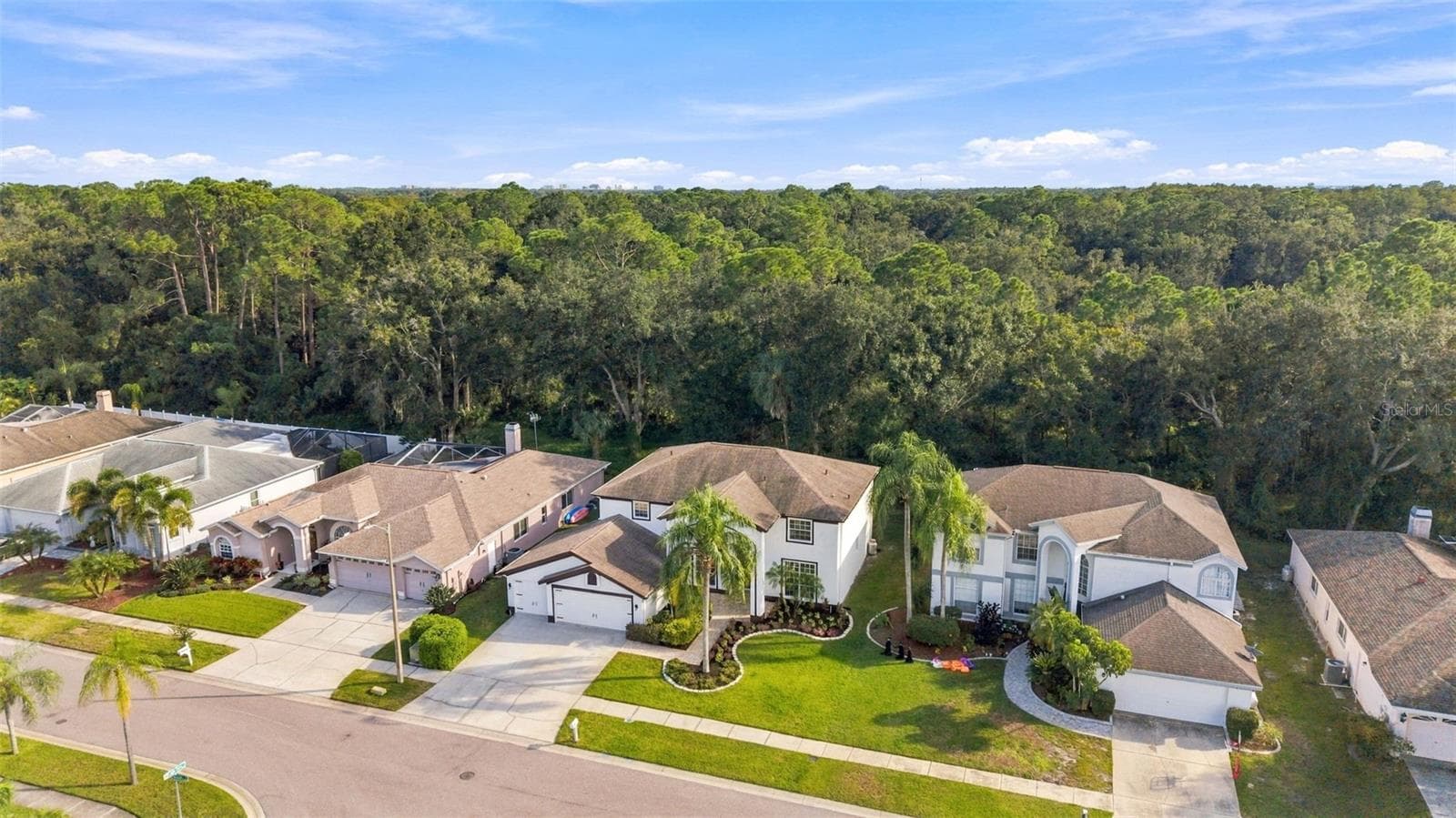 Excellent curb appeal - 10102 VISTA POINTE DR, TAMPA