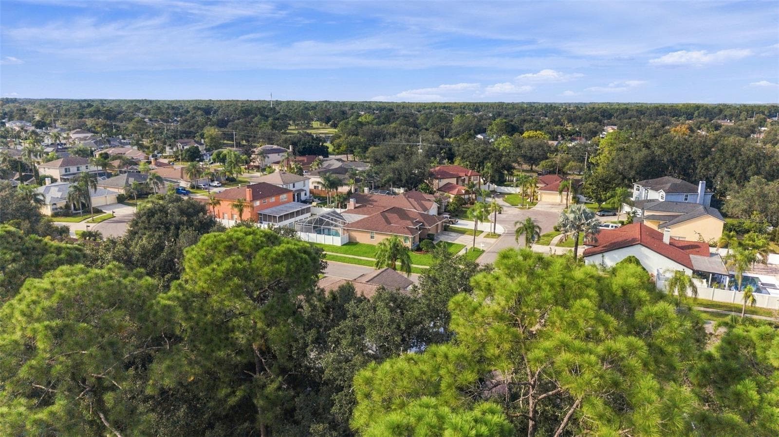 Across the street from the Countryway Country Club - 10102 VISTA POINTE DR, TAMPA