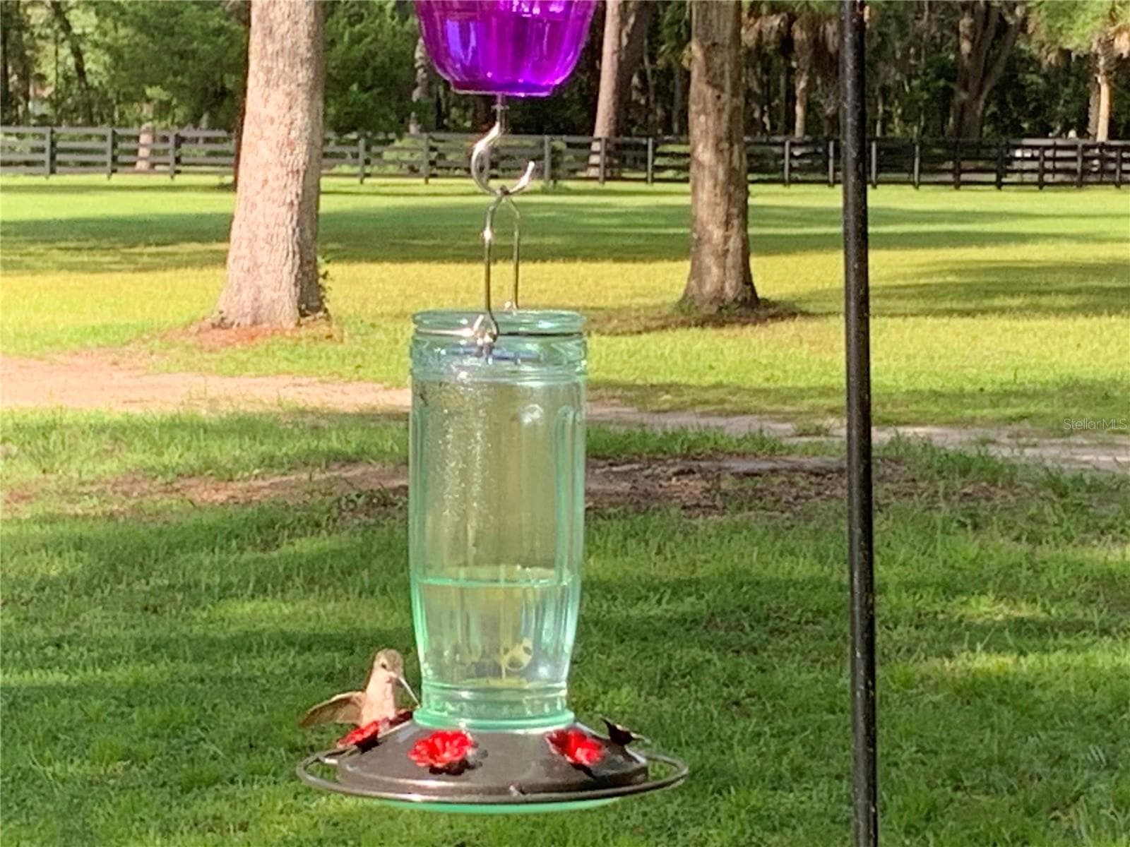 Single Family Residence at 6012 NW 168TH ST, ALACHUA, photo 28 of 28