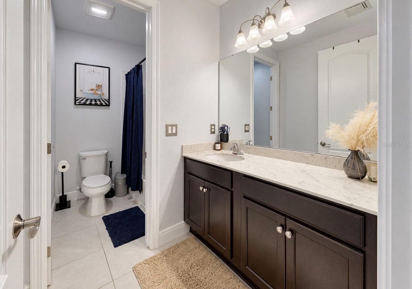 Single Family Residence at 12112 CREEK PRESERVE DR, RIVERVIEW, photo 41 of 64