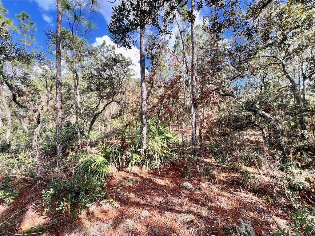 Land at 6328 W Pine Ridge Boulevard, Beverly Hills FL 34465, photo 3 of 14