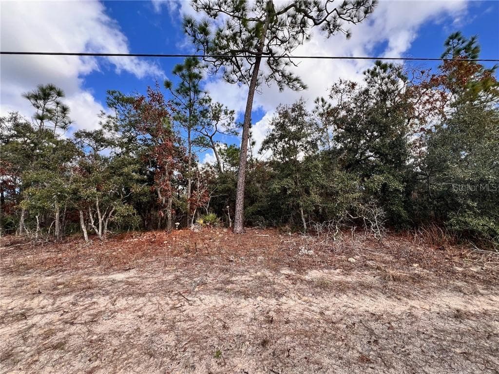 Land at 6328 W Pine Ridge Boulevard, Beverly Hills FL 34465, photo 4 of 14