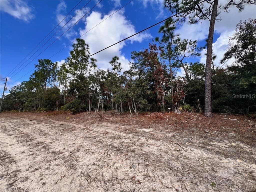 Land at 6328 W Pine Ridge Boulevard, Beverly Hills FL 34465, photo 5 of 14