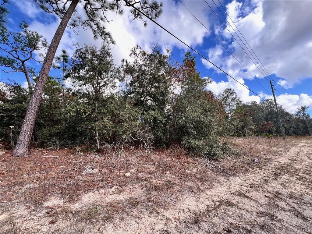 Land at 6328 W Pine Ridge Boulevard, Beverly Hills FL 34465, photo 6 of 14